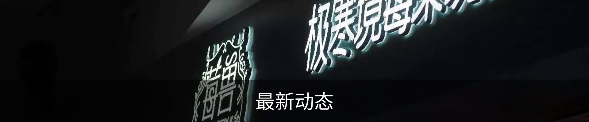 最新动态