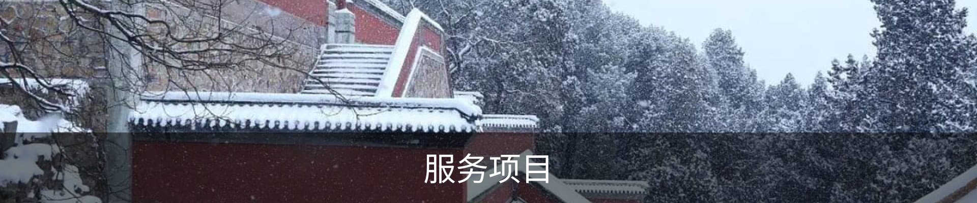 服务项目